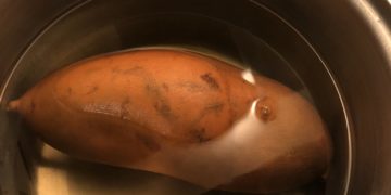 Fertőzött vetőburgonya érkezett Hollandiából