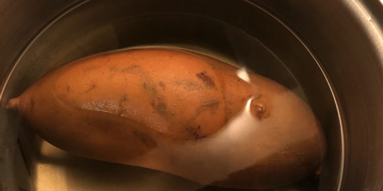 Fertőzött vetőburgonya érkezett Hollandiából