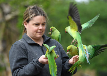 15 ezret meghaladta az Egyesült Királyságban a halálos áldozatok száma