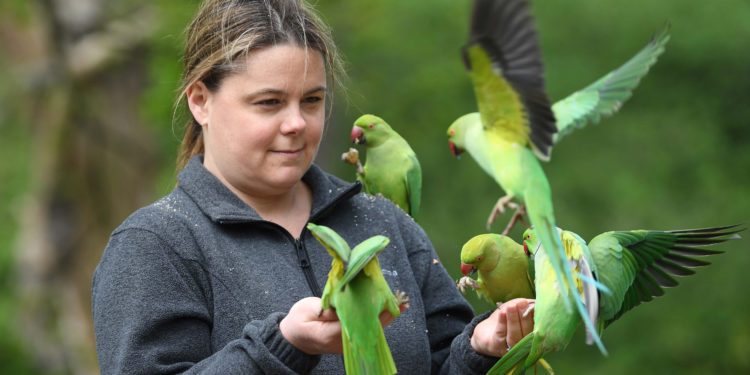 15 ezret meghaladta az Egyesült Királyságban a halálos áldozatok száma