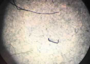 Először találtak antarktiszi jégmintákban mikroműanyagot