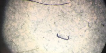 Először találtak antarktiszi jégmintákban mikroműanyagot