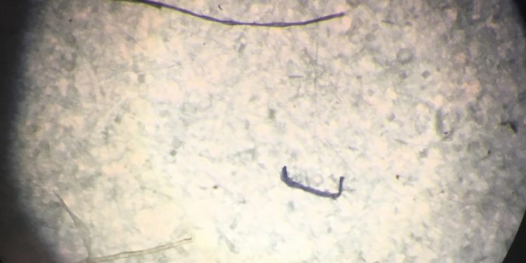 Először találtak antarktiszi jégmintákban mikroműanyagot