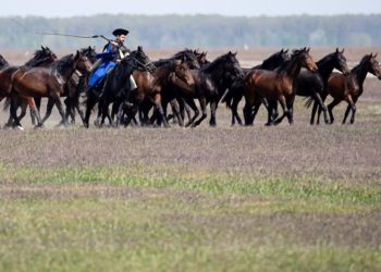 A renyhe ménes idei első kihajtása Hortobágyon.  – Gyönyörű fényképekkel és videóval