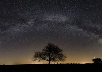 Jobban figyelnek a környezet védelmére a gyermekes családok
