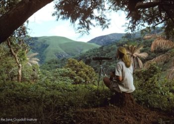 Jane Goodall szerint a járvány után bölcsebben kell bánni a bolygóval