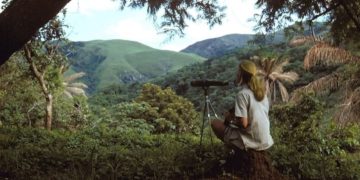 Jane Goodall szerint a járvány után bölcsebben kell bánni a bolygóval