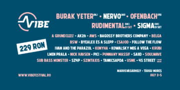 Százezren szavaztak a VIBE fesztivál erdélyi tehetségkutatójának versenyzőire