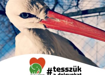 A budapesti állatkert működése zavartalan, százmillió forint a kieső bevétel