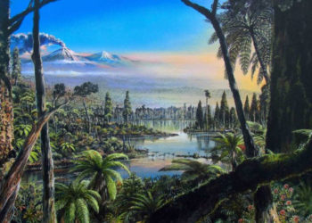 Mérsékelt égövi esőerdő maradványaira bukkantak az Antarktisz nyugati részén