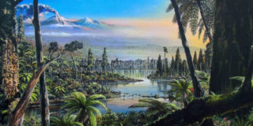 Mérsékelt égövi esőerdő maradványaira bukkantak az Antarktisz nyugati részén