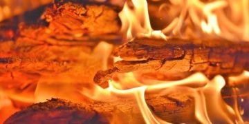 OS : Az Agrárminisztérium közleménye- Most érdemes beszerezni a téli tűzifát