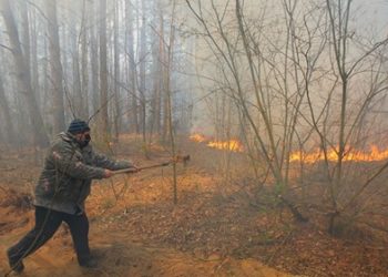 Az ukrán nemzeti gárda szabotázsellenes műveletet indított a csernobili és zsitomiri tüzek miatt