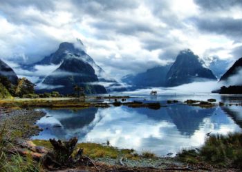 Új-Zélandon első alkalommal nem jelentettek újabb fertőzöttet március közepe óta