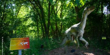 Ausztráliában fogatlan dinoszaurusz fosszíliáját azonosították
