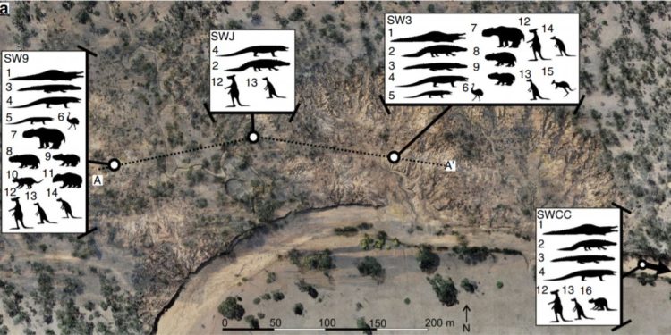 40 ezer éve Ausztráliába óriáskenguruk és krokodilok haltak ki