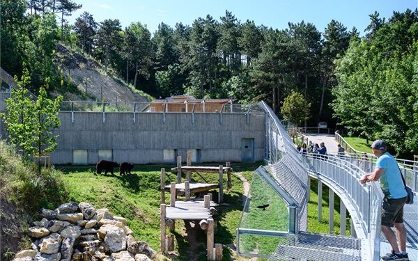 A Veszprémi Állatkertben  új medvekifutót és -házat adtak át