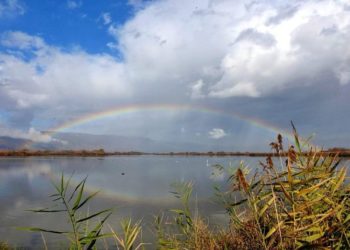 Tizenötezer éves horgokat találtak a régészek Izraelben