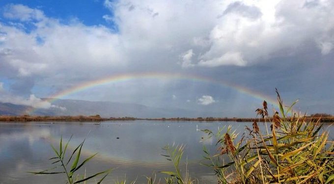 Tizenötezer éves horgokat találtak a régészek Izraelben