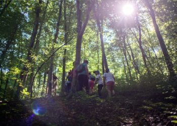 A Nyugat-Mecsekben az erdő rejtett kincseit bemutató tanösvény nyílt