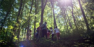 A Nyugat-Mecsekben az erdő rejtett kincseit bemutató tanösvény nyílt