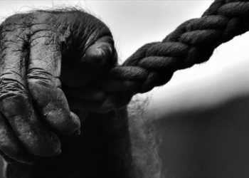 Uganda egyik legismertebb gorilláját megölték