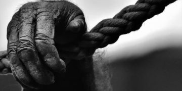 Uganda egyik legismertebb gorilláját megölték