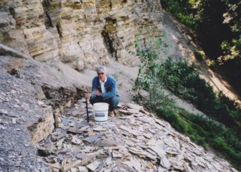 Több száz millió éves ausztrál növényfosszíliát új fajként azonosítottak