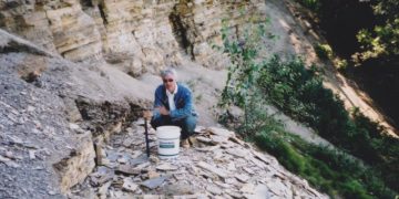 Több száz millió éves ausztrál növényfosszíliát új fajként azonosítottak