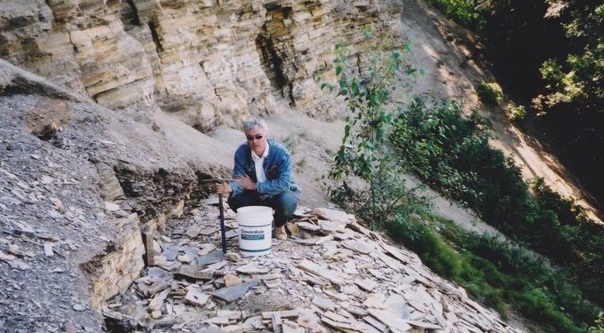 Több száz millió éves ausztrál növényfosszíliát új fajként azonosítottak