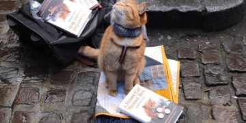 Bob a világ leghíresebb kóbor macskája elpusztult