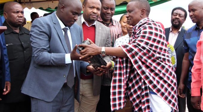 Egy tanzániai bányász rekordméretű tanzanit drágaköveket talált