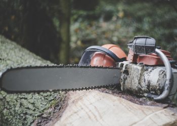 Brazíliában újabb rekordot döntött az erdőirtás májusban