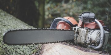 Brazíliában újabb rekordot döntött az erdőirtás májusban