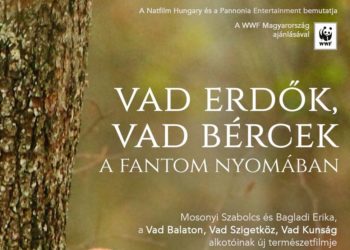 Csütörtökön kerül a mozikba a Vad erdő, vad bércek című díjnyertes természetfilm  ﻿