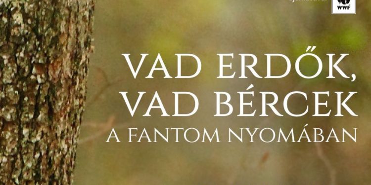 Csütörtökön kerül a mozikba a Vad erdő, vad bércek című díjnyertes természetfilm 