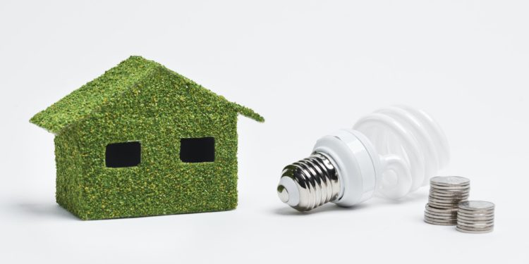 Project of ecological and energy efficient house