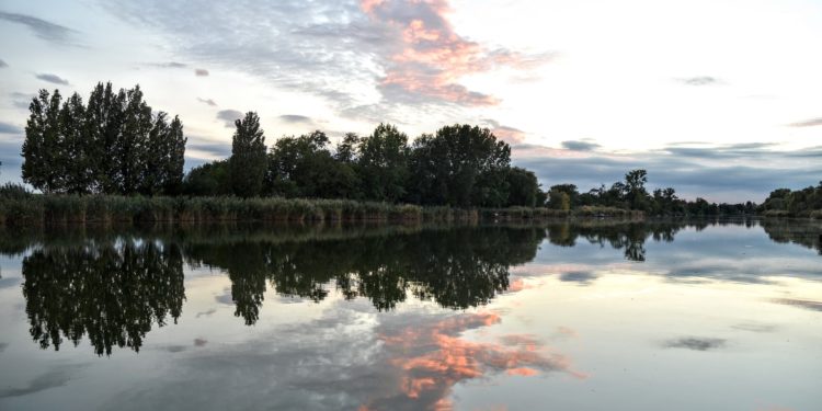 A Felső-Tisza ökológiai állapotának felmérésére indult magyar-román-ukrán program