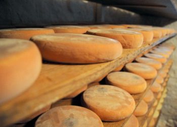 Egy „véletlenül” megalkotott új sajtfajtát neveztek el a kijárási korlátozásokról Franciaországban