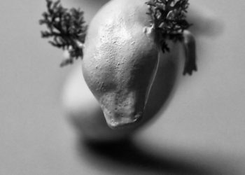 A postojnai cseppkőbarlang vakgőtéi bemutatkoztak a nagyközönségnek