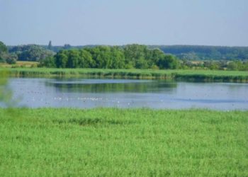 Péteri-tó eredeti mederalakulata visszaállításra kerül