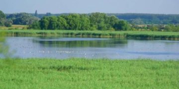 Péteri-tó eredeti mederalakulata visszaállításra kerül