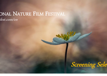 Nemzetközi Természet- és Környezetvédelmi Fesztiválként rendezik meg a gödöllői Nemzetközi Természetfilm Fesztivált