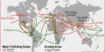 Több mint 7,5 tonna kokaint foglaltak le  Kolumbiában