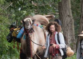 Németországban tevével vándorló pár keltett feltűnést