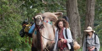 Németországban tevével vándorló pár keltett feltűnést