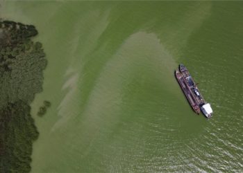 Kotorják a Balatont a tó nyugati medencéjét