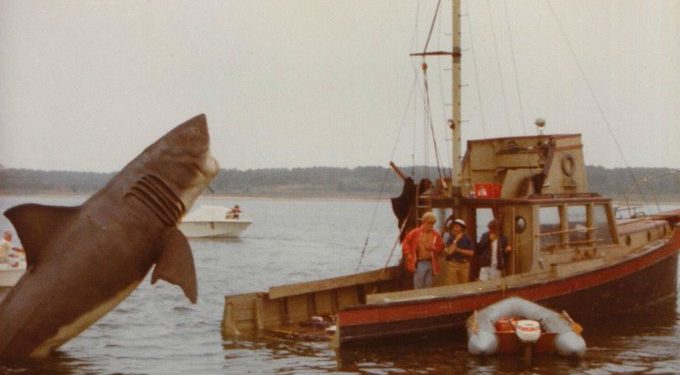 Újra vízre száll a cápa híres hajója