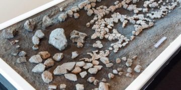 Kétméteres óriásteknős maradványait találták meg Németországban