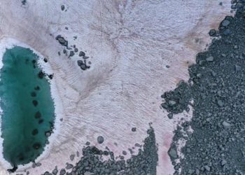 Rózsaszín hó az Olasz-Alpokban